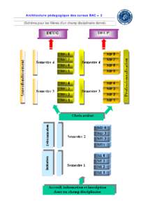 Architecture pédagogique des cursus BAC + 2  (Schéma pour les filières d’un champ disciplinaire donné) 