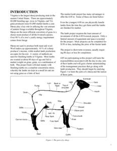 INTRODUCTION  The market lamb project has many advantages to offer the 4-H’er. Some of these are listed below:  Virginia is the largest sheep producing state in the