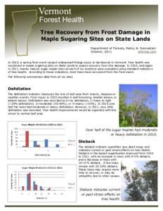 Vermont  Forest Health Tree Recovery from Frost Damage in Maple Sugaring Sites on State Lands Department of Forests, Parks, & Recreation