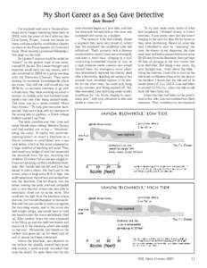 My Short Career as a Sea Cave Detective Dave Bunnell I’ve explored well over a thousand sea caves since I began surveying them back in 1982, with the onset of the California Sea