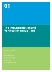 01  The Implementation and Verification Group (IVG)  •	 Special Representative