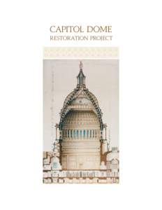 Domes / United States Capitol dome / United States Capitol / Statue of Freedom / Minnesota State Capitol / Pennsylvania State Capitol / Utah State Capitol / Texas State Capitol / Washington State Capitol / State governments of the United States / Government / Architecture