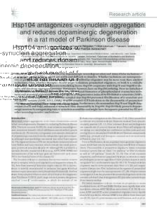 Research article  Hsp104 antagonizes α-synuclein aggregation and reduces dopaminergic degeneration in a rat model of Parkinson disease Christophe Lo Bianco,1,2 James Shorter,3 Etienne Régulier,2 Hilal Lashuel,2 Takeshi