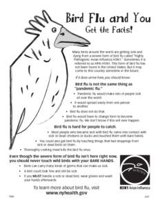 Bird Flu and You: Get the Facts!