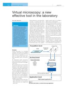 Virtual microscopy: a new effective tool in the laboratory