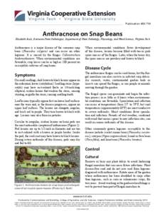 Publication[removed]Anthracnose on Snap Beans
