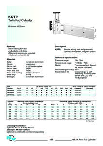 Shock absorber / Piston