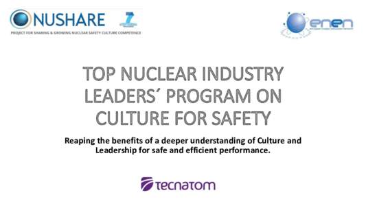 TOP NUCLEAR INDUSTRY LEADERS PROGRAM ON CULTURE FOR SAFETY