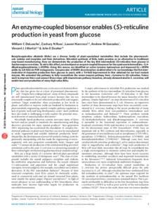 Aromatic amino acids / Glucogenic amino acids / Proteinogenic amino acids / L-DOPA / Berberine / Dopamine / Tyrosine hydroxylase / Tyrosine / Tyrosinase / Chemistry / Catecholamines / Enzymes