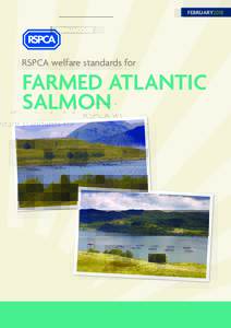 FEBRUARY2018  RSPCA welfare standards for FARMED ATLANTIC SALMON