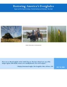 Comprehensive Everglades Restoration Plan / Arthur R. Marshall / Marjory Stoneman Douglas / Tamiami Trail / Big Cypress National Preserve / Wetland / Taylor Slough / Loxahatchee National Wildlife Refuge / The Everglades: River of Grass / Florida / Everglades / Restoration of the Everglades