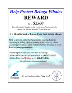 Help Protect Beluga Whales  REWARD Up to  $2500