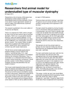 Researchers find animal model for understudied type of muscular dystrophy
