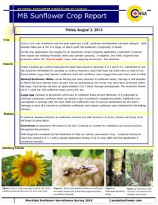 Maximizing Economic return and minimizing collateral damage when controlling insects that feed on sunflower seeds