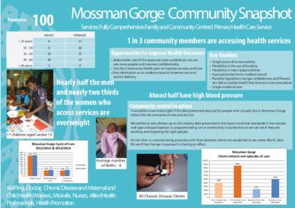 Mossman Gorge Community Snapshot.ai