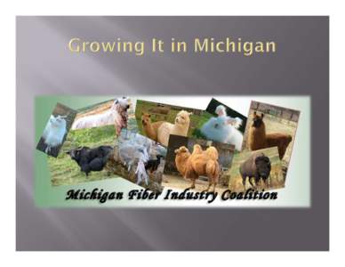 MIchigan Fiber Industry Coalition-Final