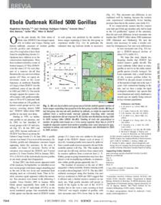 Ebola Outbreak Killed 5000 Gorillas Magdalena Bermejo,1,2* José Domingo Rodríguez-Teijeiro,2 Germán Illera,1 Alex Barroso,2 Carles Vilà,3 Peter D. Walsh4 (Fig. 1C). This encounter rate difference is not explained wel