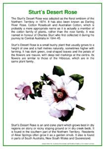 Flowers / Flora of New South Wales / Gossypium / Gossypium sturtianum / Hibiscus / Floral emblem / Rosebush / Charles Sturt / Rosids / Eudicots / Flora of Australia