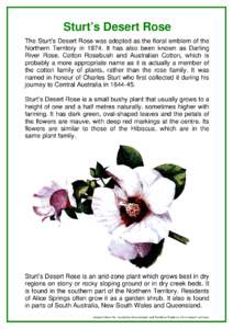 Microsoft Word - Sturt's Desert Rose.doc