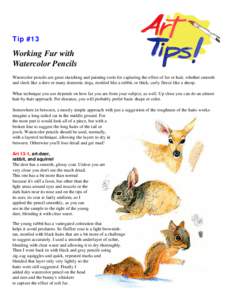Tip #13  Working Fur with