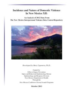 Gender-based violence / Feminism / Violence / Family therapy / Domestic violence / Violence Against Women Act / Domestic violence in the United States / Minneapolis Domestic Violence Experiment / Violence against women / Abuse / Ethics