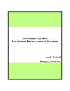 UN PASO ARRIBA Y DOS ABAJO: LOS HOGARES AGROPECUARIOS EN NICARAGUA Juan F. Rocha N. Managua, Julio de 2001