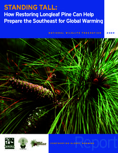 STANDING TALL: How Restoring Longleaf Pine Can Help Prepare the Southeast for Global Warming N AT I O N A L  WILDLIFE