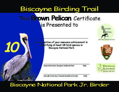 Biscayne Birding Trail This Brown Pelican Certificate is Presented to B B