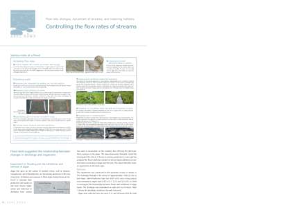 Changes of flow rates during floods are closely related to the formation of stream morphology and material transfer. Organisms that inhabit streams have evolved adapting Flow rate changes, dynamism of streams, and restor