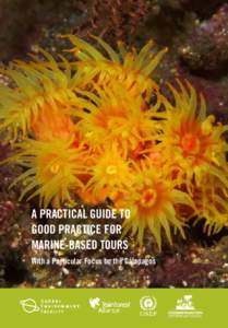 A PRACTICAL GUIDE TO GOOD PRACTICE FOR MARINE-BASED TOURS With a Particular Focus on the Gálapagos  Acknowledgments