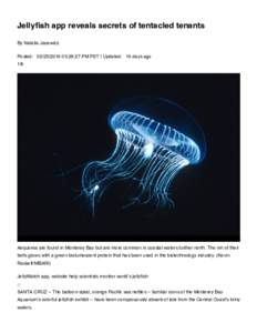 Jellyﬁsh app reveals secrets of tentacled tenants By Natalie Jacewicz Posted:   :29:27 PM PST | Updated:   10 days ago 1/6  Aequorea are found in Monterey Bay but are more common in coastal waters furthe