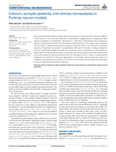 ORIGINAL RESEARCH ARTICLE  published: 19 December 2008 doi: neuroCOMPUTATIONAL NEUROSCIENCE
