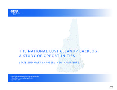 TH E NATIONAL LUST CL EANUP BAC KLOG: A STUDY OF OPPORTUNI TI ES STAT E S UM M ARY C H APTE R : NE W H AM P S H IRE Office of Solid Waste and Emergency Response Office of Underground Storage Tanks