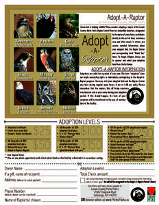 Adopt-A-Raptor  at the Lorain County Metro Parks Aphrodite Red-Tailed Hawk