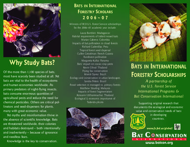 BATS IN INTERNATIONAL FORESTRY SCHOLARS 2006~07 Winners of BCI/U.S. Forest Service scholarships for the 2006–07 academic year include: