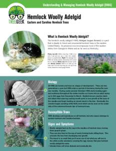 Understanding & Managing Hemlock Woolly Adelgid (HWA)