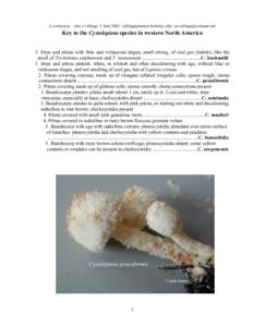Cystolepiota / Basidiocarp / Mushroom / Tree of life / Agaricaceae / Biology / Mycology