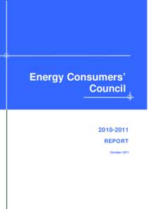 Energy Consumers Council Report