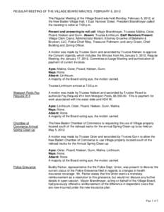 REGULAR MEETING OF THE VILLAGE BOARD MINUTES, FEBRUARY 6, 2012 The Regular Meeting of the Village Board was held Monday, February 6, 2012, at the New Baden Village Hall, 1 East Hanover Street. President Brandmeyer called