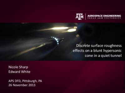 Discrete surface roughness effects on a blunt hypersonic cone in a quiet tunnel Nicole Sharp Edward White APS DFD, Pittsburgh, PA