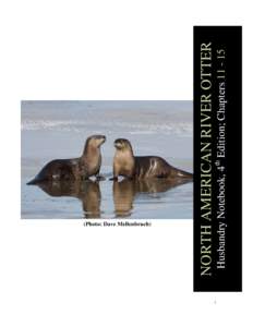 Husbandry Notebook, 4th Edition; ChaptersNORTH AMERICAN RIVER OTTER (Photo: Dave Mellenbruch)