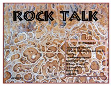 Rock Talk In This Issue July Meeting Program The June Club Meeting, as I saw it Tree Fern June Meeting Photos