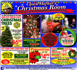Fir / Christmas tree / Douglas-fir / Propagation of Christmas Trees / Southern Appalachian spruce-fir forest / Flora of the United States / Abies / Flora