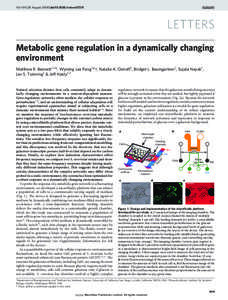 Vol 454 | 28 August 2008 | doi:[removed]nature07211  LETTERS Metabolic gene regulation in a dynamically changing environment Matthew R. Bennett1,2*, Wyming Lee Pang1*{, Natalie A. Ostroff1, Bridget L. Baumgartner1, Sujata
