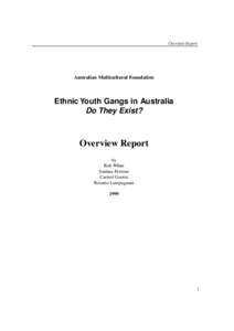 Overview Report  Australian Multicultural Foundation Ethnic Youth Gangs in Australia Do They Exist?