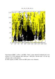 Superimposed IBIC ( yellow ) and IBIL ( black ) maps obtained irradiating the cross section of a CVD diamond film (400 µm x 800 µm). Growth side is at the top, substrate side is at the bottom. In white regions, no IBIL