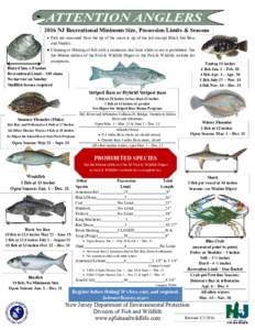Fishkeeping / Morone / Striped bass / Fish as food / Nenana Ice Classic