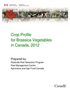 Crop Profile for Brassica Vegetables in Canada, 2012 Prepared by: Pesticide Risk Reduction Program