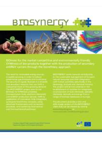 BIOmass for the market competitive and environmentally friendly SYNthesis of bio-products together with the production of secondary enERGY carriers through the biorefinery approach. The need for renewable energy sources 