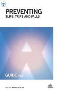 PREVENTING SLIPS, TRIPS AND FALLS GUIDE 2006  Disclaimer